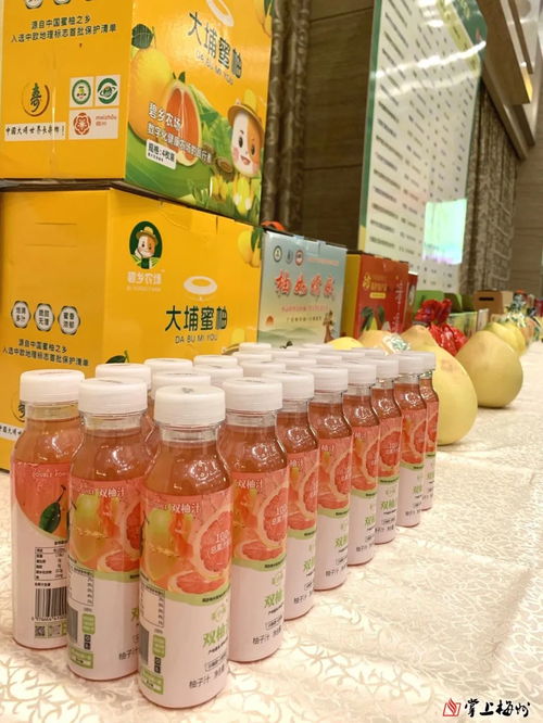 柚到成熟季，食柚正当时——梅州多方协力提升蜜柚品质与流通效率